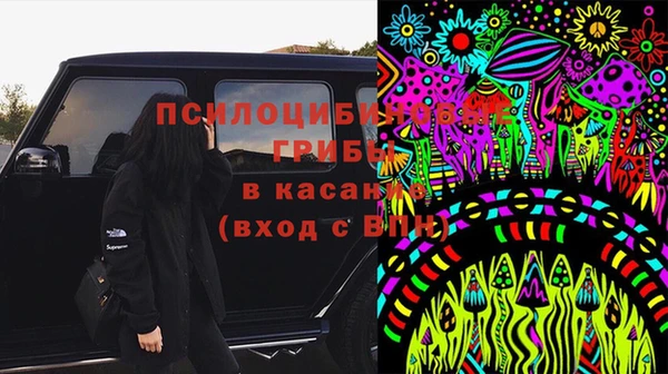 хмурый Ладушкин
