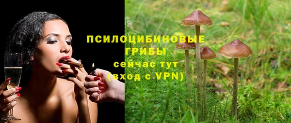 хмурый Ладушкин