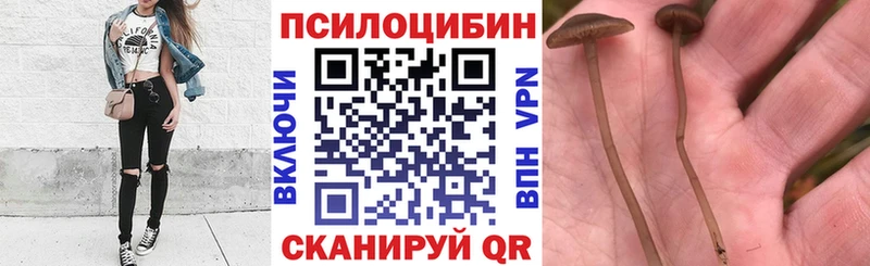 Галлюциногенные грибы Psilocybine cubensis  hydra вход  Санкт-Петербург 