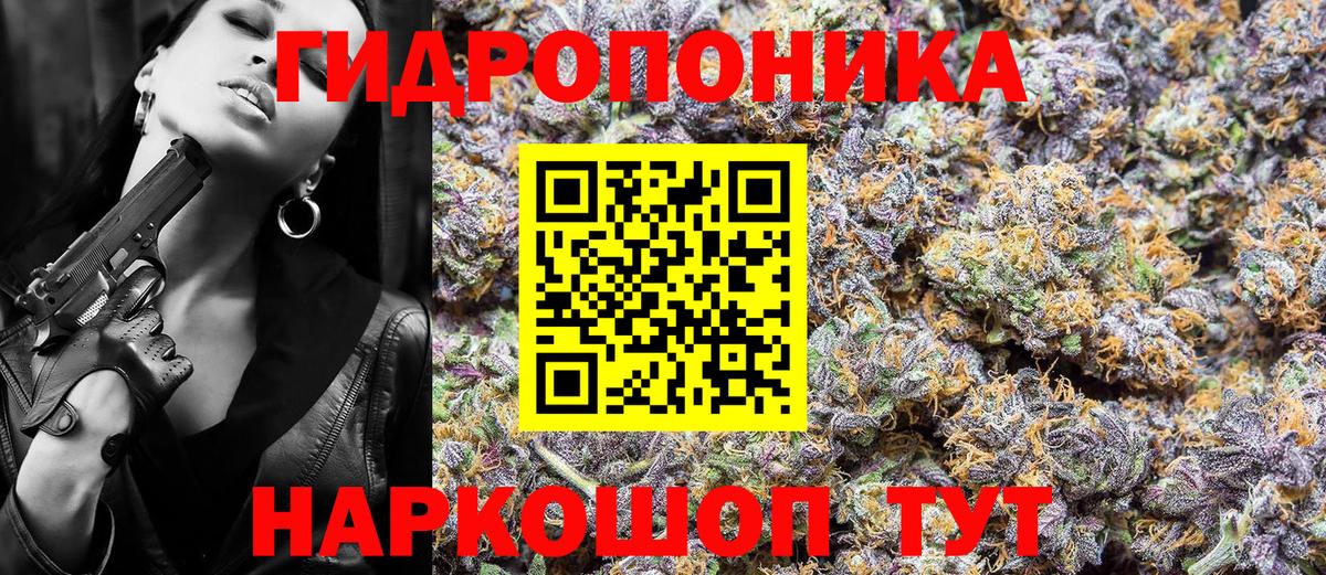 Каннабис планчик  Бошки марихуана SATIVA & INDICA  Санкт-Петербург  Вход с VPN 
